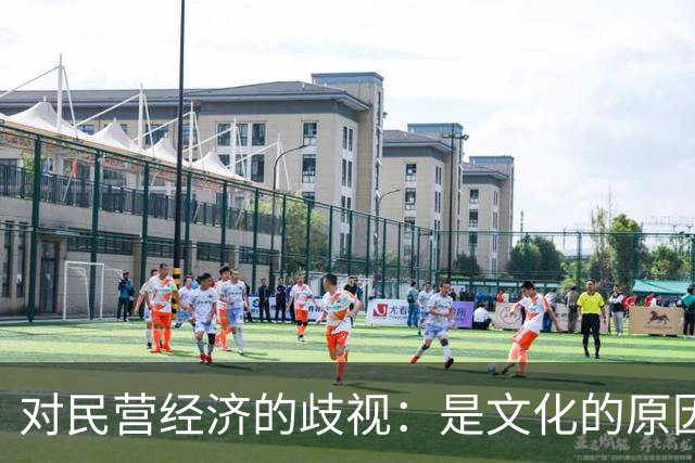 对民营经济的歧视：是文化的原因，还是意识形态的推动